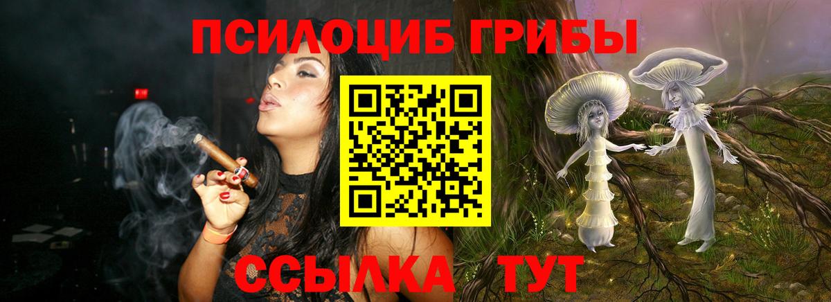 Галлюциногенные грибы Psilocybine cubensis Кандалакша