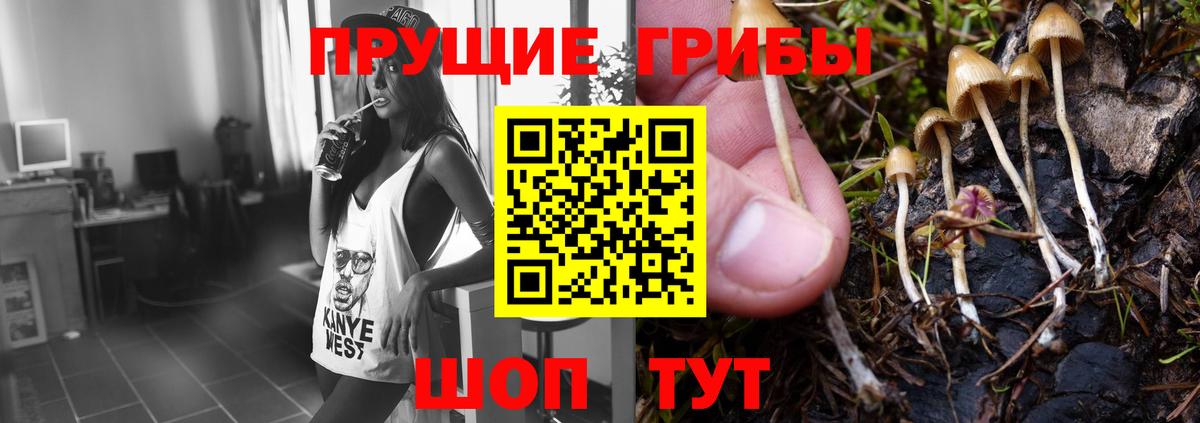 Кандалакша  где можно купить   Вход с VPN  Галлюциногенные грибы Psilocybe 